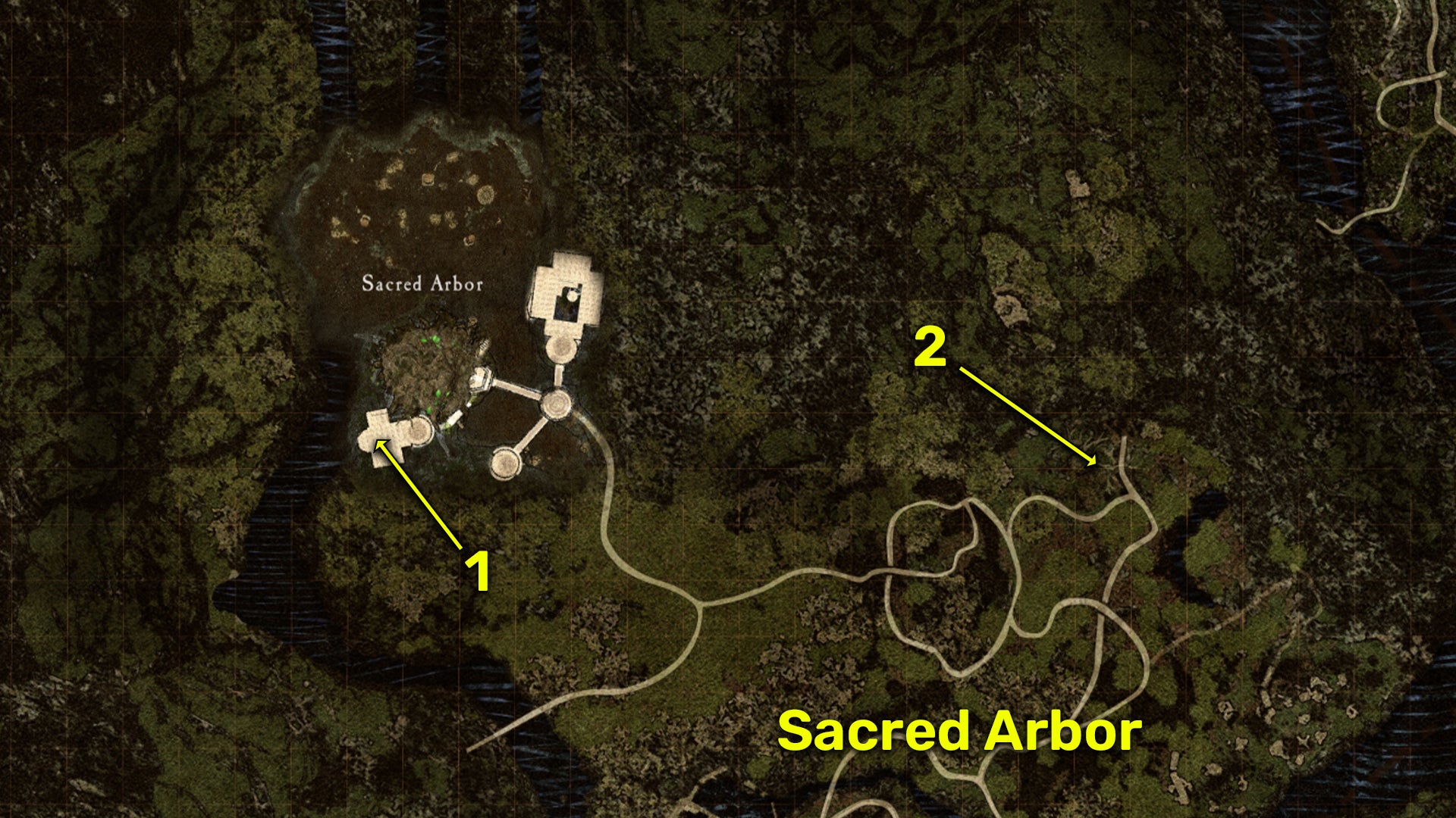 Dragon&rsquo;s Dogma 2 map locations of all Wakestone Shards near Sacred Arbor.