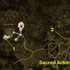 Dragon's Dogma 2 map locations of all Wakestone Shards near Sacred Arbor.