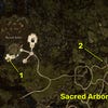 Dragon’s Dogma 2 map locations of all Wakestone Shards near Sacred Arbor.