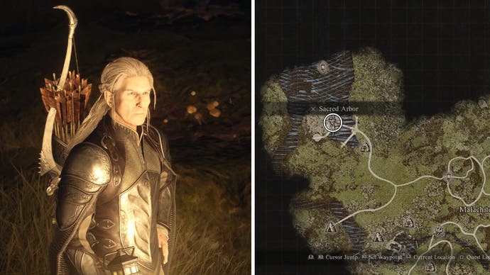 The Archer Maister is an importat elf in Dragon's Dogma 2