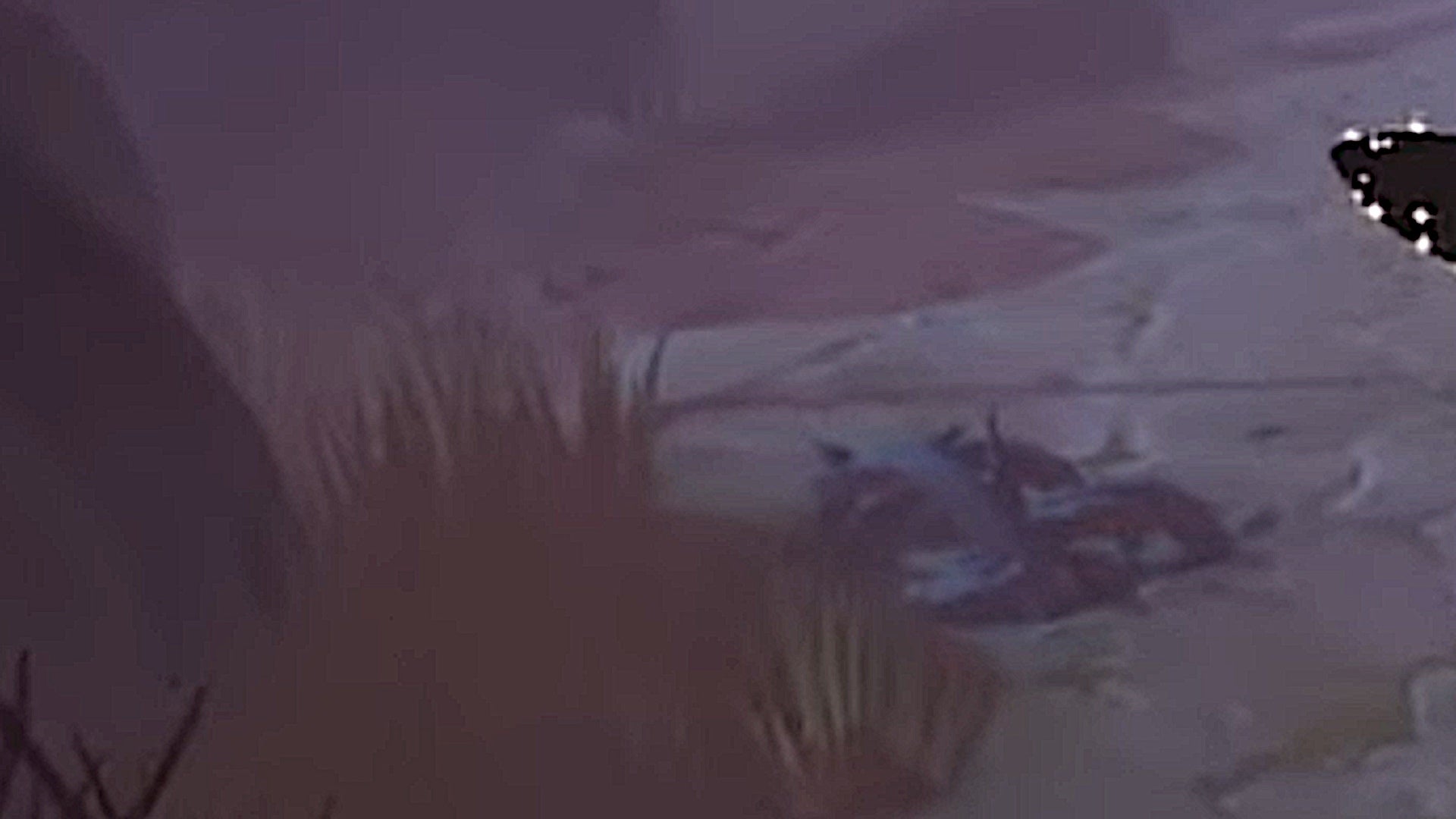 Disney Dreamlight Valley Eyes in the Dark quest guide - 4