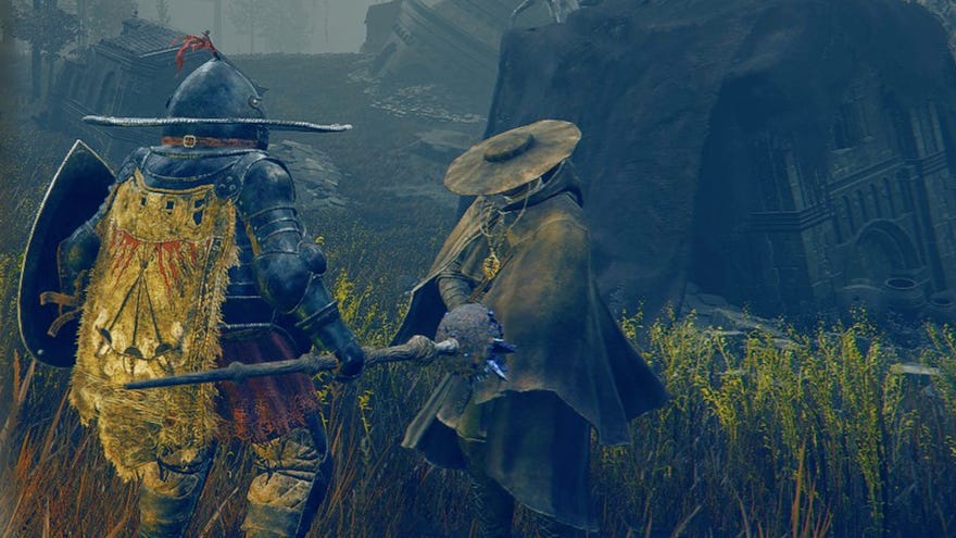 A closeup view of Dryleaf Dane and a Tarnished in Elden Ring: Shadow of the Erdtree.