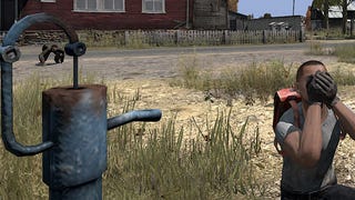 Have You Played... DayZ