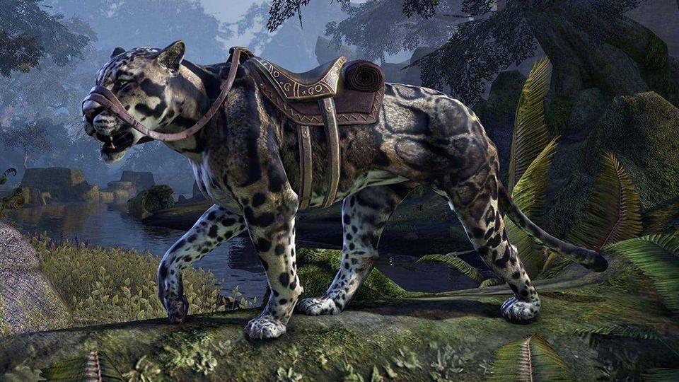 Pen-and-paper Elder Scrolls adventure Elsweyr pulled by Bethesda ...