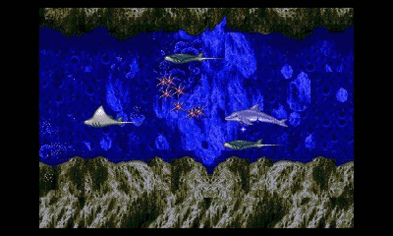 Ecco the dolphin 2024 3ds