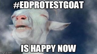 Protest Goat secures future for Elite Dangerous destruction derbies