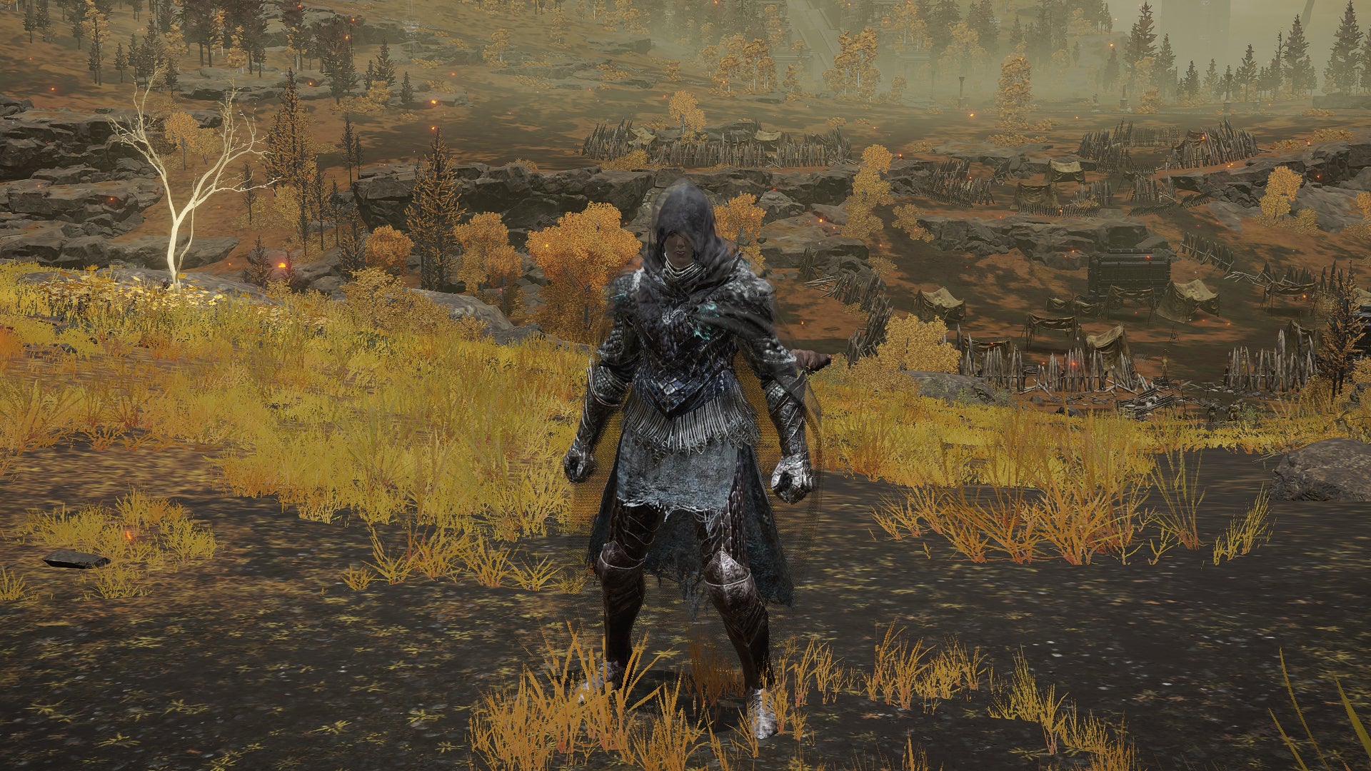 The player in Elden Ring stands in front of the camera wearing the Black Knife armour set. Behind them is a view of the Altus Plateau. - 11