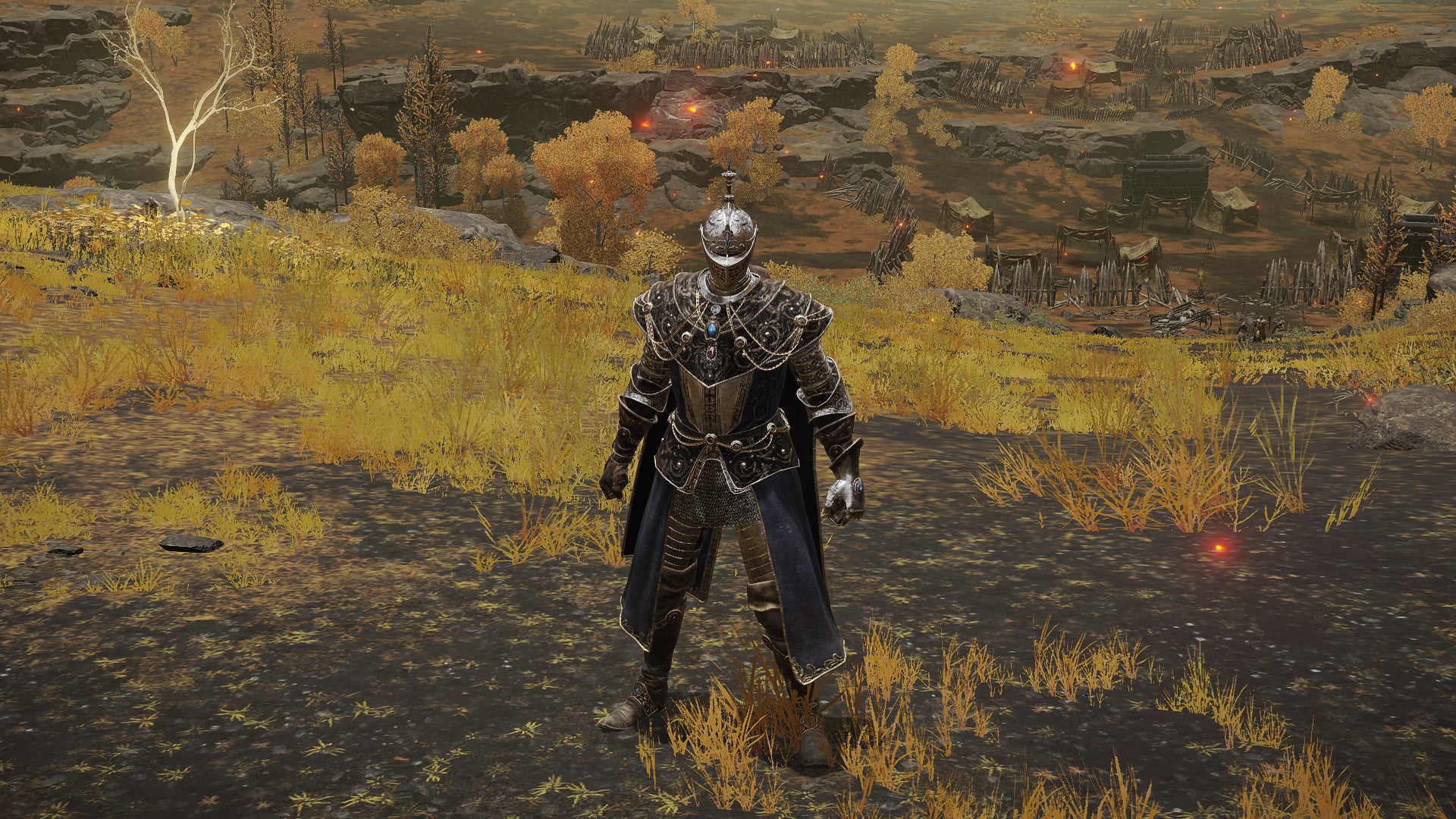 The player in Elden Ring stands in front of the camera wearing the Carian Knight armour set. Behind them is a view of the Altus Plateau. - 5