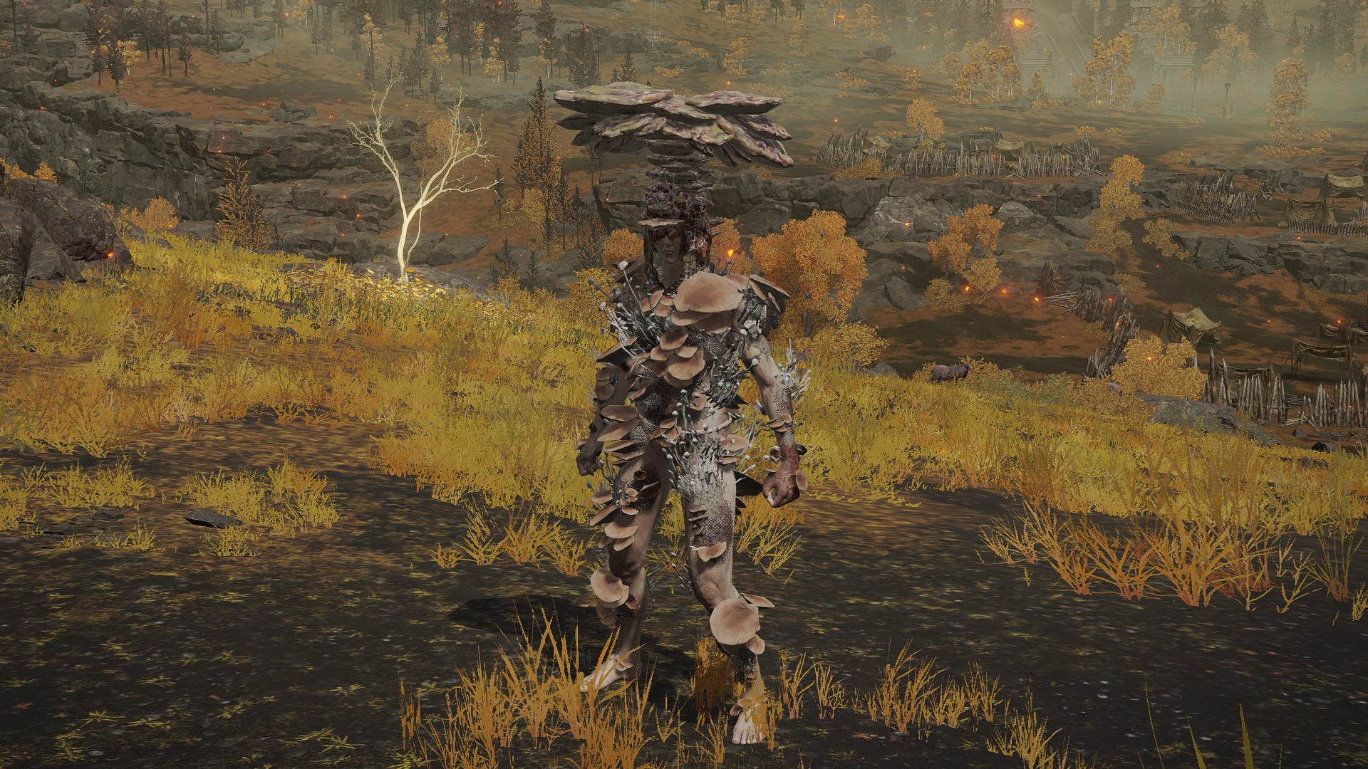 The player in Elden Ring stands in front of the camera wearing the Mushroom armour set. Behind them is a view of the Altus Plateau. - 17