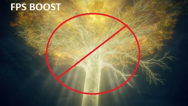 Erdtree FPS boost mod