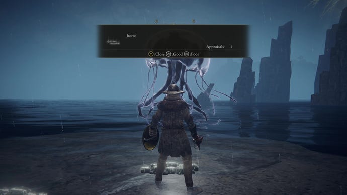 An Elden Ring player stands next to a ghostly jellyfish and reads a player message that says, “horse”.