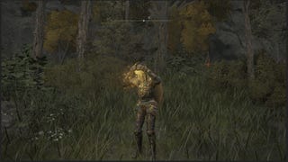 How to turn into a tree, statue, and other objects with the Mimic's Veil in Elden Ring