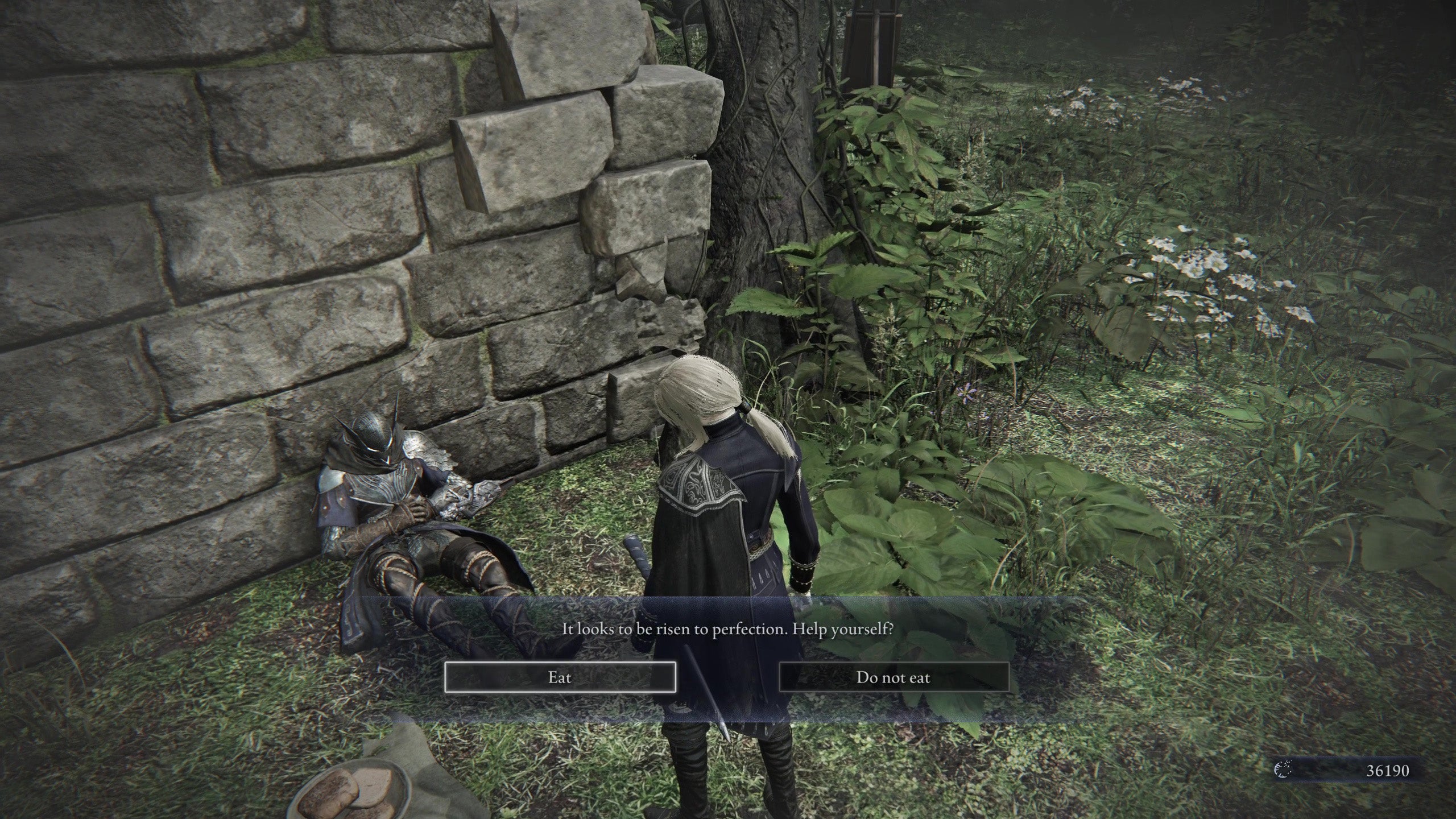 The choice to eat or not eat Wylder's bread in Elden Ring: Nightreign. - 5