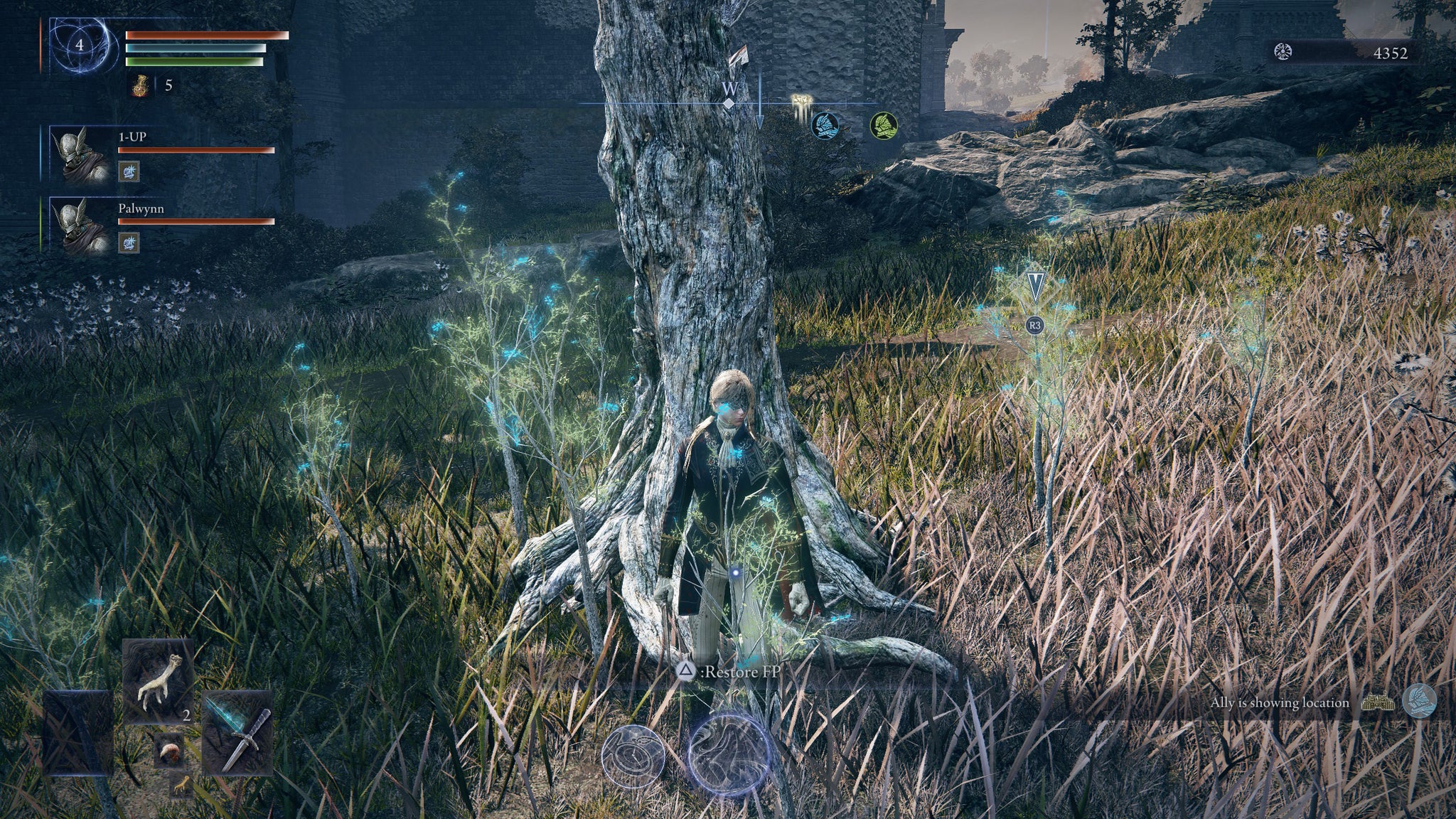 The Duchess standing near a tree that restores FP in Elden Ring: Nightreign. - 4