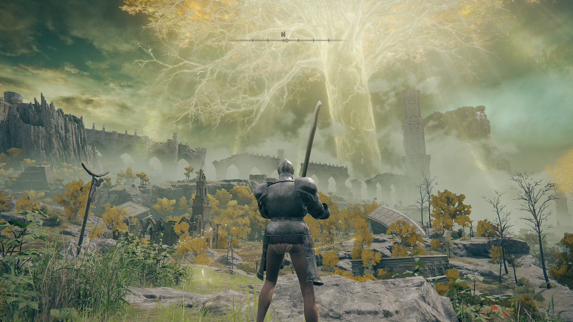 The Tarnished is shown standing by The First Step is shown in Elden Ring.