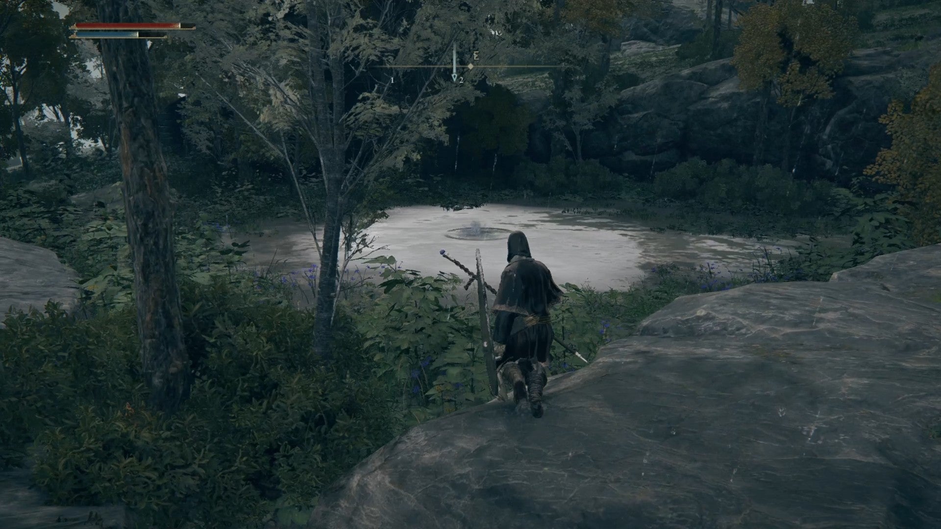 Elden Ring player staring at a strange splash in a pond