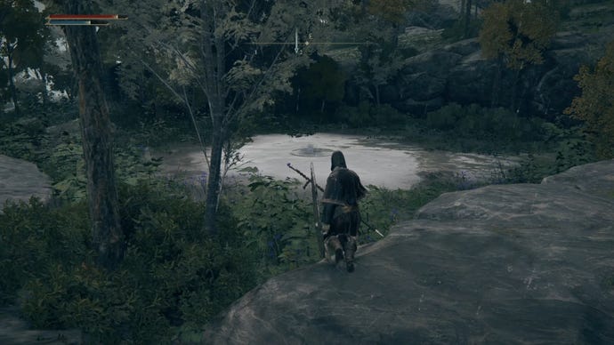 Elden Ring player staring at a strange splash in a pond