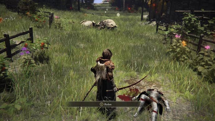 elden ring player standing by diallos' dead body in the grass.