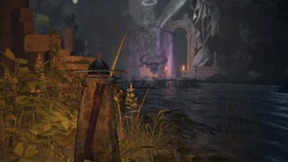 elden ring player facing ainsel river main big dragonfly above water