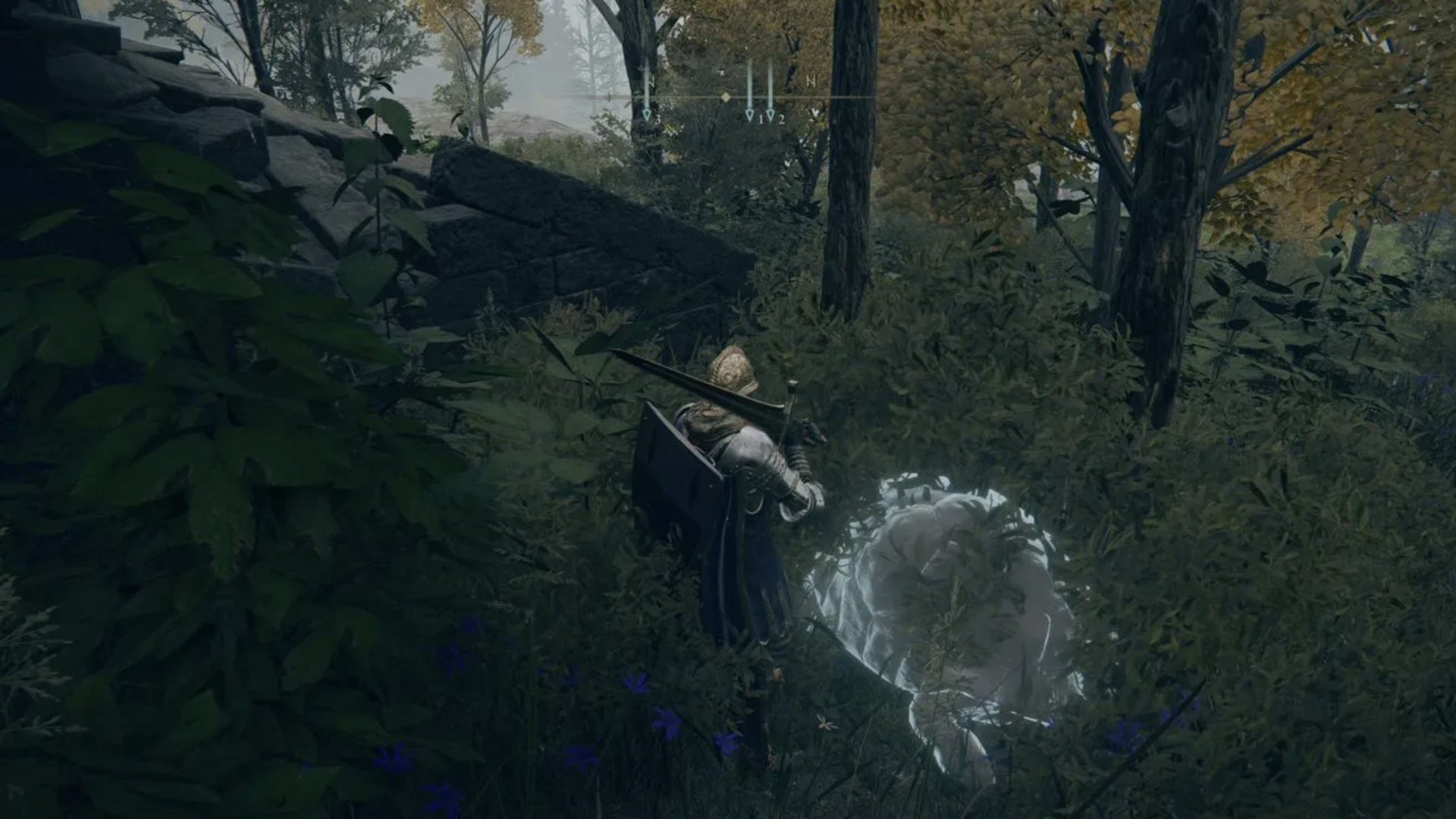 elden ring player facing ghost-like turtle near ordys&rsquo;s rise