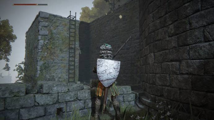 elden ring player facing ladder against stone wall