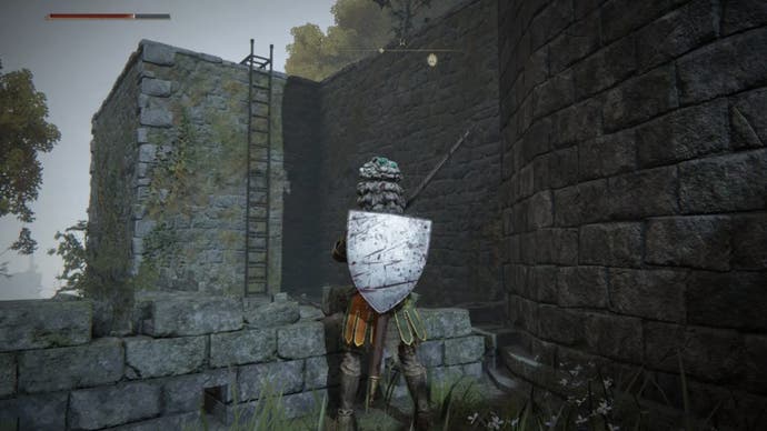 elden ring player facing ladder against stone wall