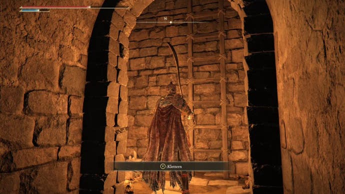 elden ring player facing wall in auriza side tomb