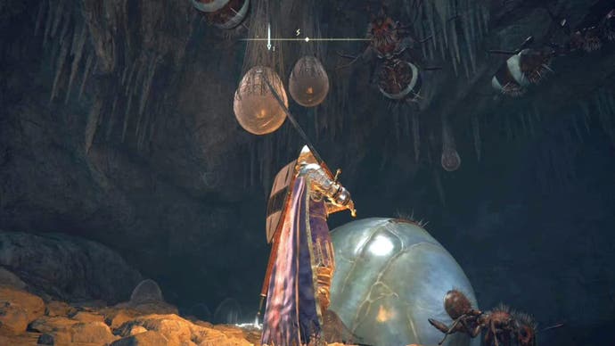 Elden Ring Player looking at furry ants on the ceiling above the Ant Queen