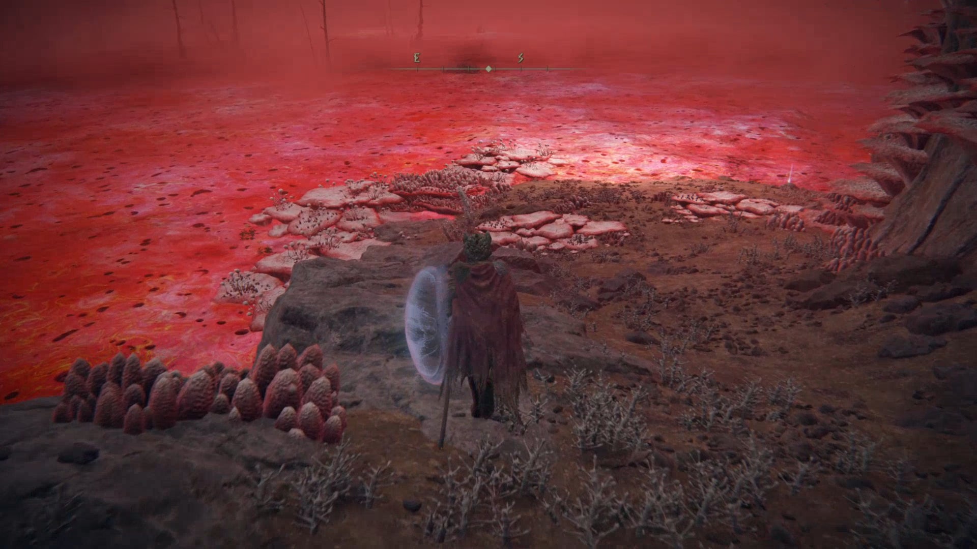The player stands upon the edge of the Lake of Rot in Elden Ring. - 16