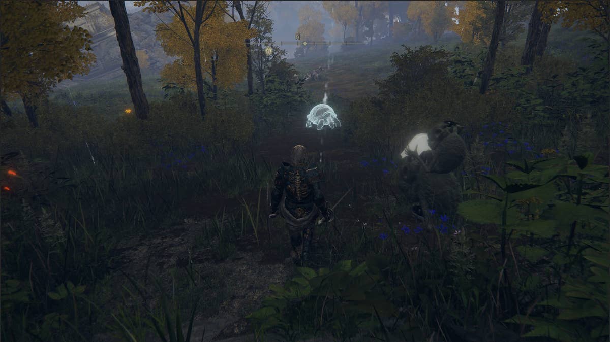 How do you “seek three wise beasts” at Oridys’s Rise and in