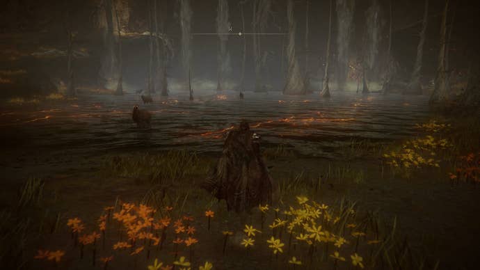 The Tarnished running towards the Divided Falls in the Abyssal Woods in Elden Ring Shadow of the Erdtree.