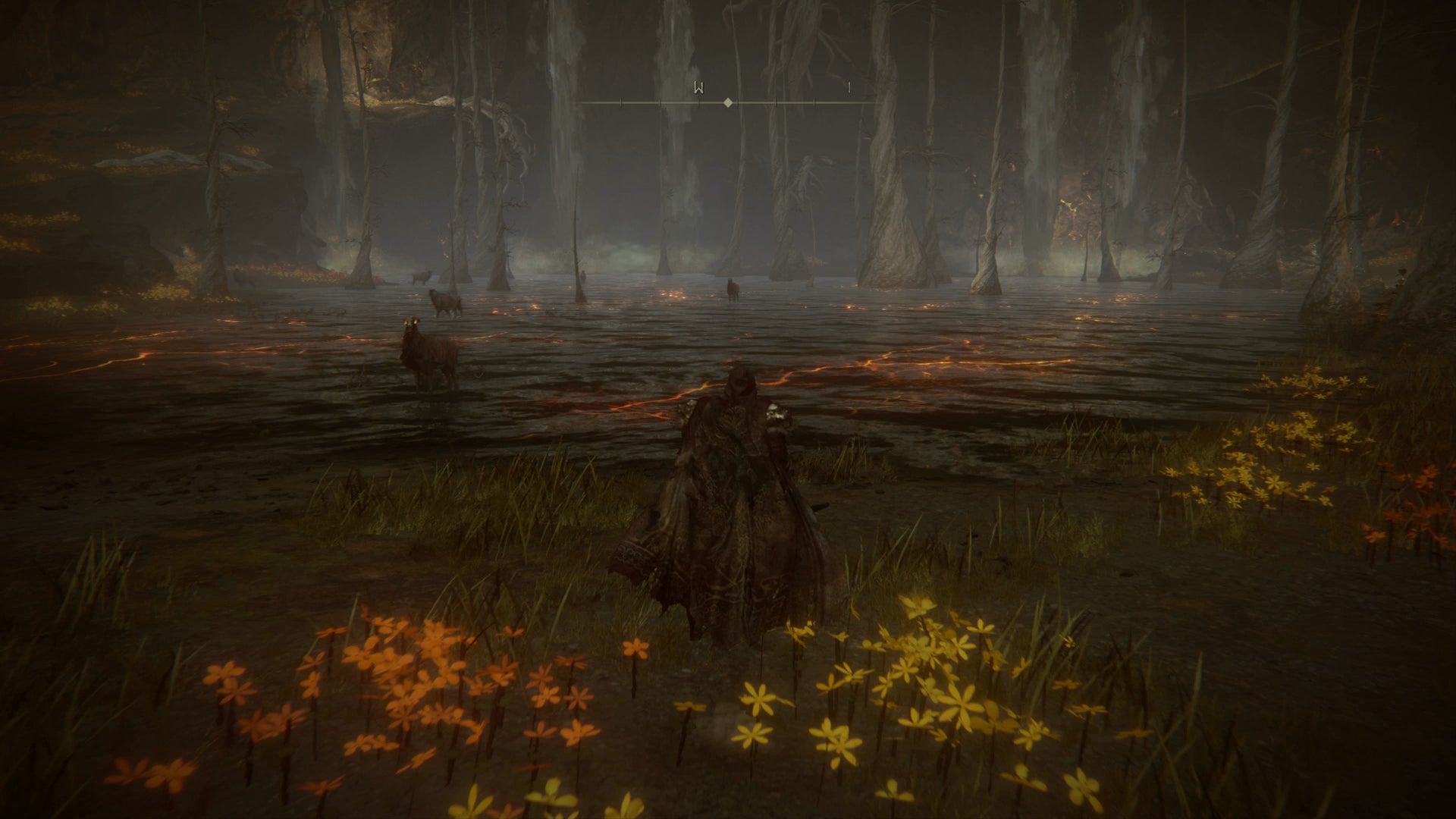 The Tarnished running towards the Divided Falls in the Abyssal Woods in Elden Ring Shadow of the Erdtree. - 16