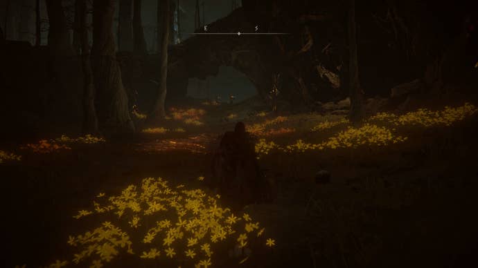 The Tarnished walking towards a coven of witches in the Abyssal Woods in Elden Ring Shadow of the Erdtree.