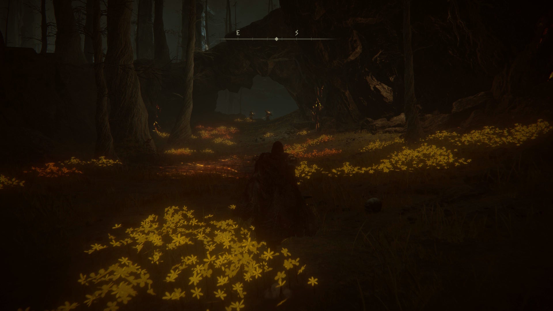 The Tarnished walking towards a coven of witches in the Abyssal Woods in Elden Ring Shadow of the Erdtree. - 17