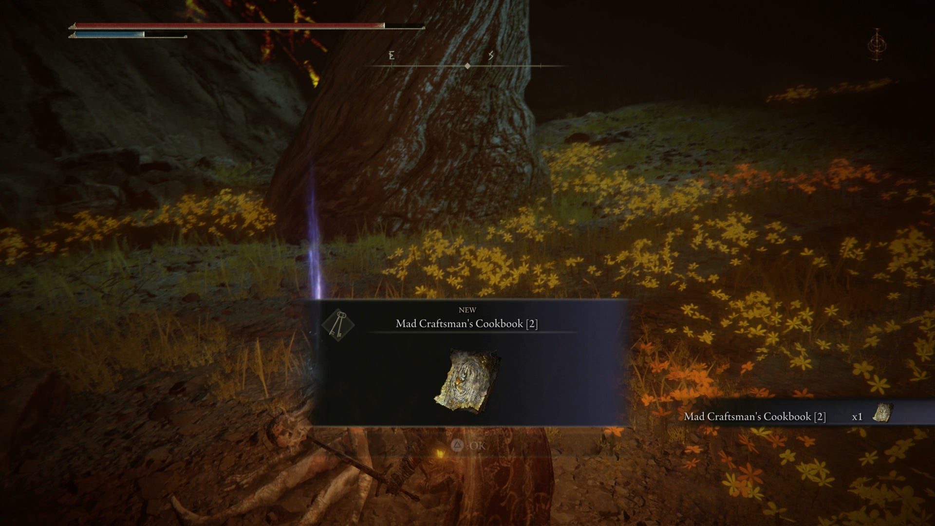 The Tarnished picking up a crafting cookbook in the Abyssal Woods in Elden Ring Shadow of the Erdtree. - 18