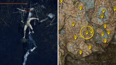All 83 Elden Ring DLC boss locations | Rock Paper Shotgun
