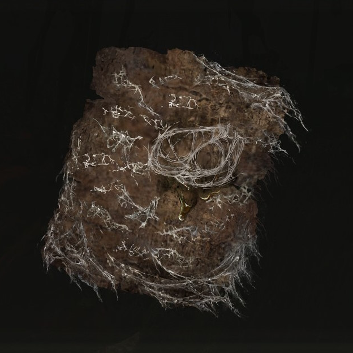 Elden Ring Shadow of the Erdtree: Forager Brood Cookbook locations