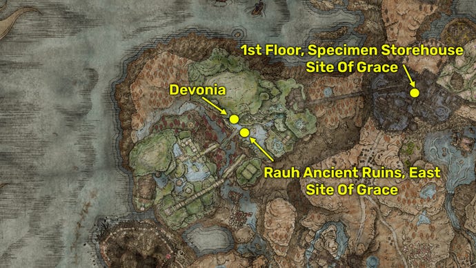 Elden Ring: Shadow Of The Erdtree screenshot of Devonia's Hammer map location.