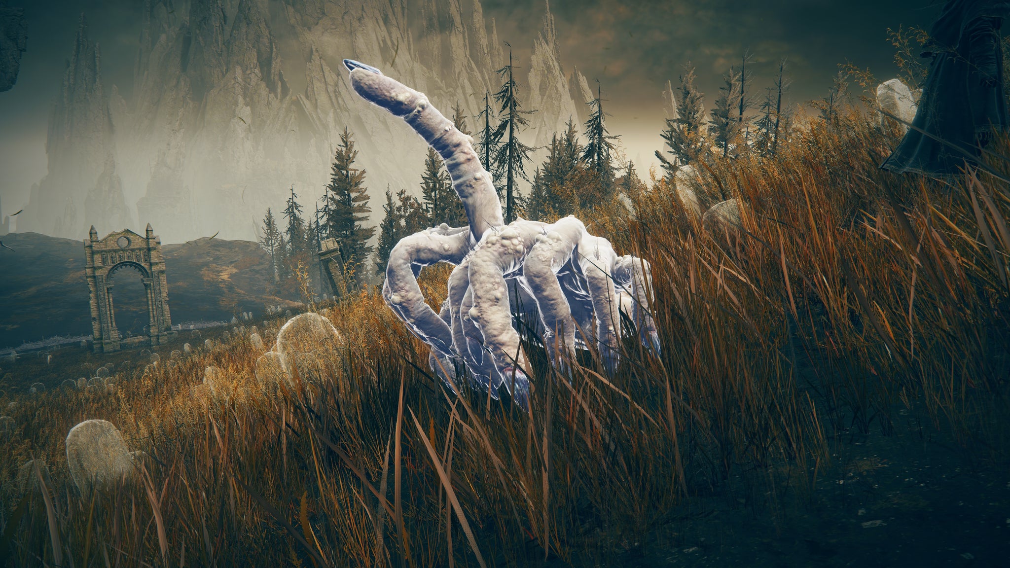 A close-up of the Fingercreeper Spirit Ash in Elden Ring: Shadow Of The Erdtree. - 20