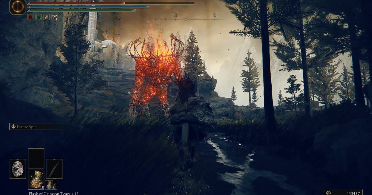 Elden Ring DLC falls to a "mixed" Steam rating as PC players complain