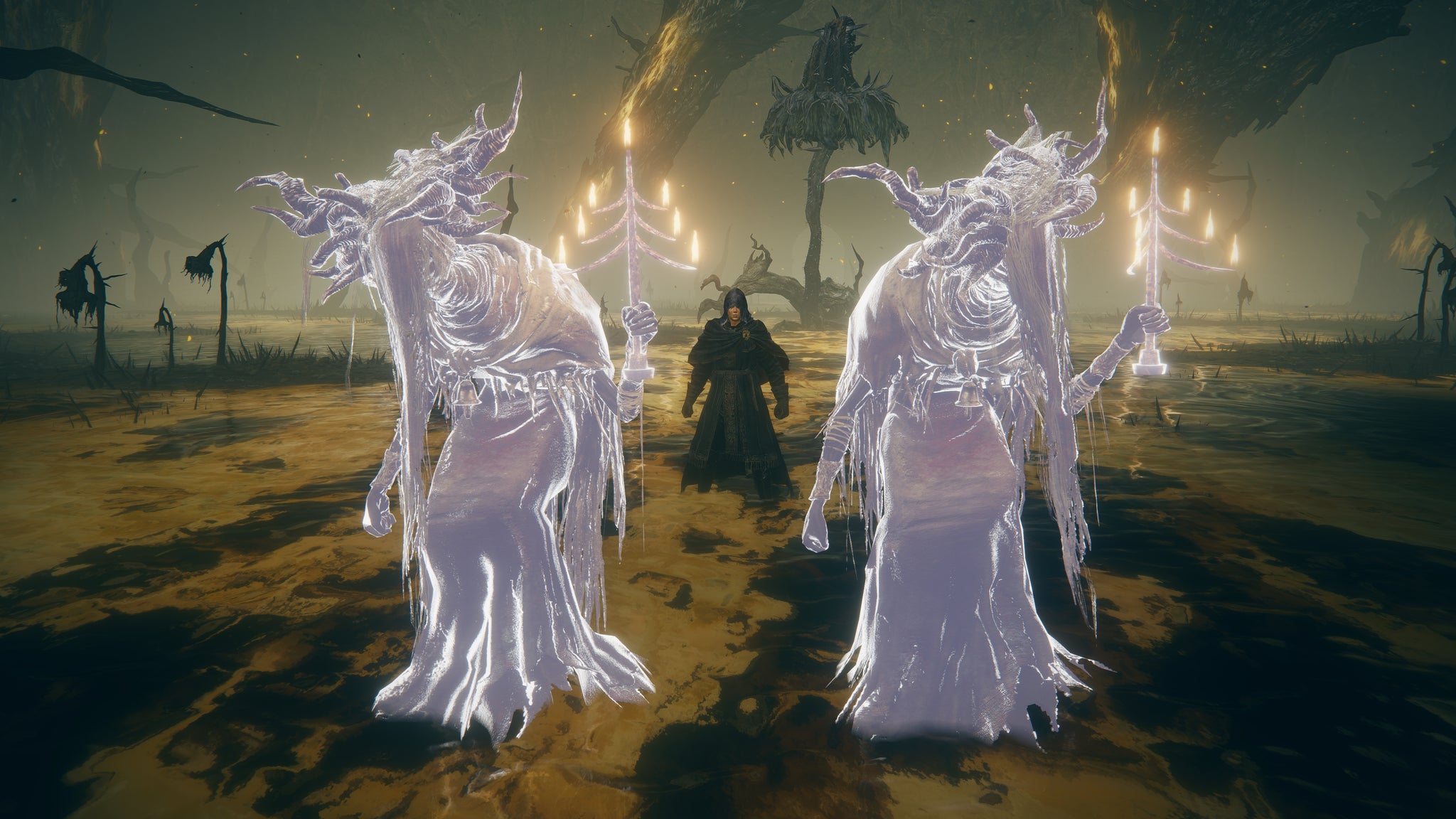 A close-up of the Inquisitor Spirit Ash in Elden Ring: Shadow Of The Erdtree. - 14