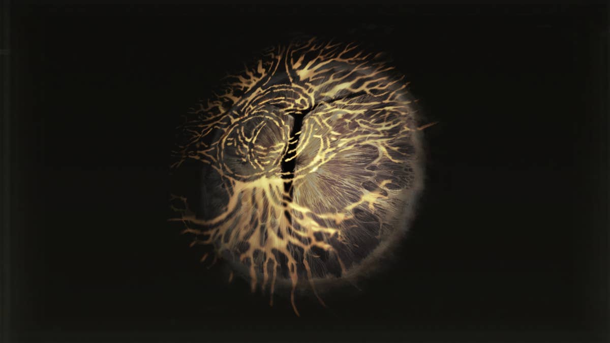 Iris Of Grace locations in Elden Ring: Shadow Of The Erdtree