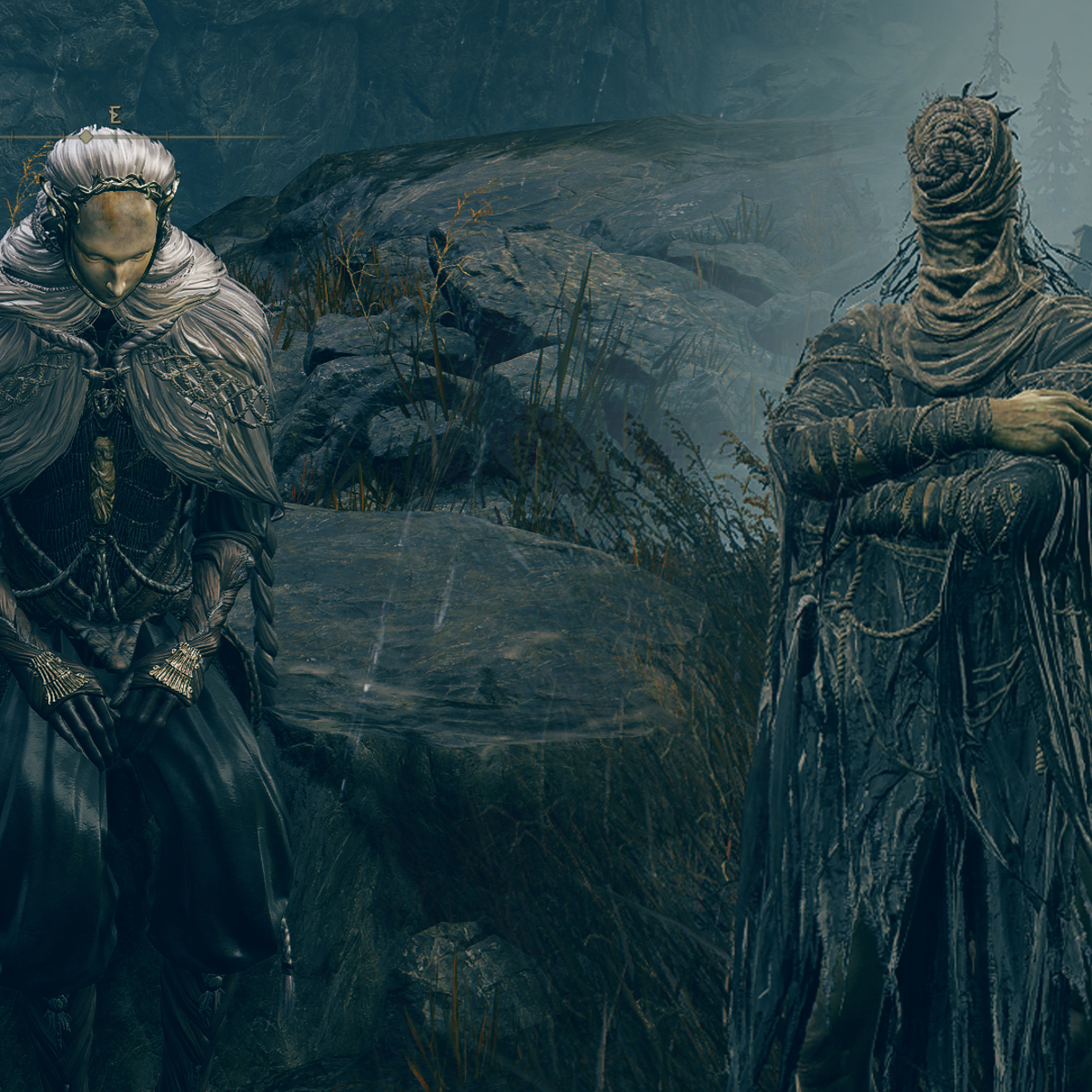 Suggest Thiollier or Hornsent in Shadow Of The Erdtree | Rock