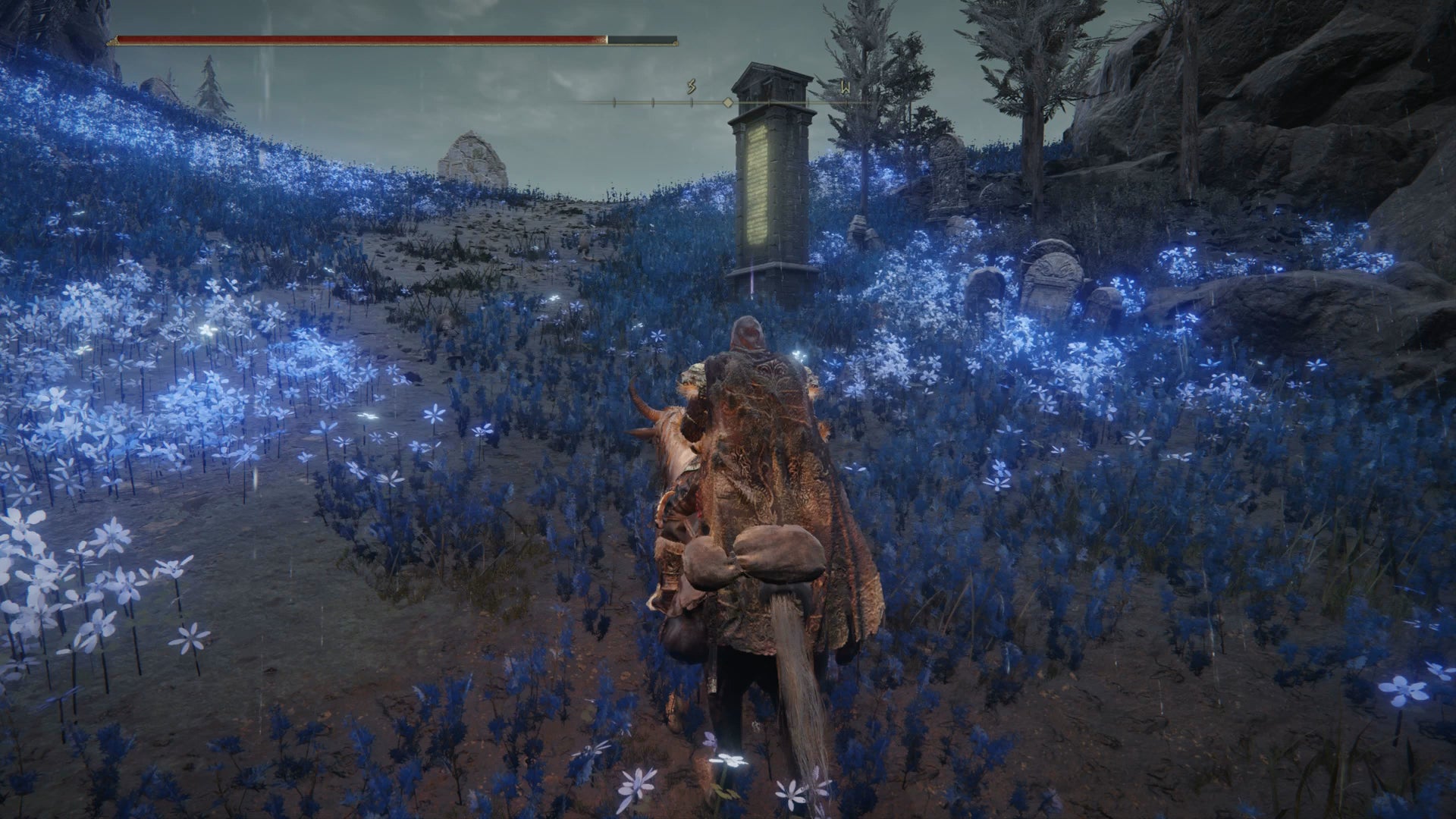 The Tarnished collecting the second map fragment in Elden Ring Shadow of the Erdtree. - 10