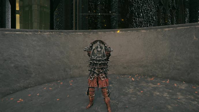 Elden Ring Shadow of the Erdtree screenshot showing armoured character posing inside stone chalice