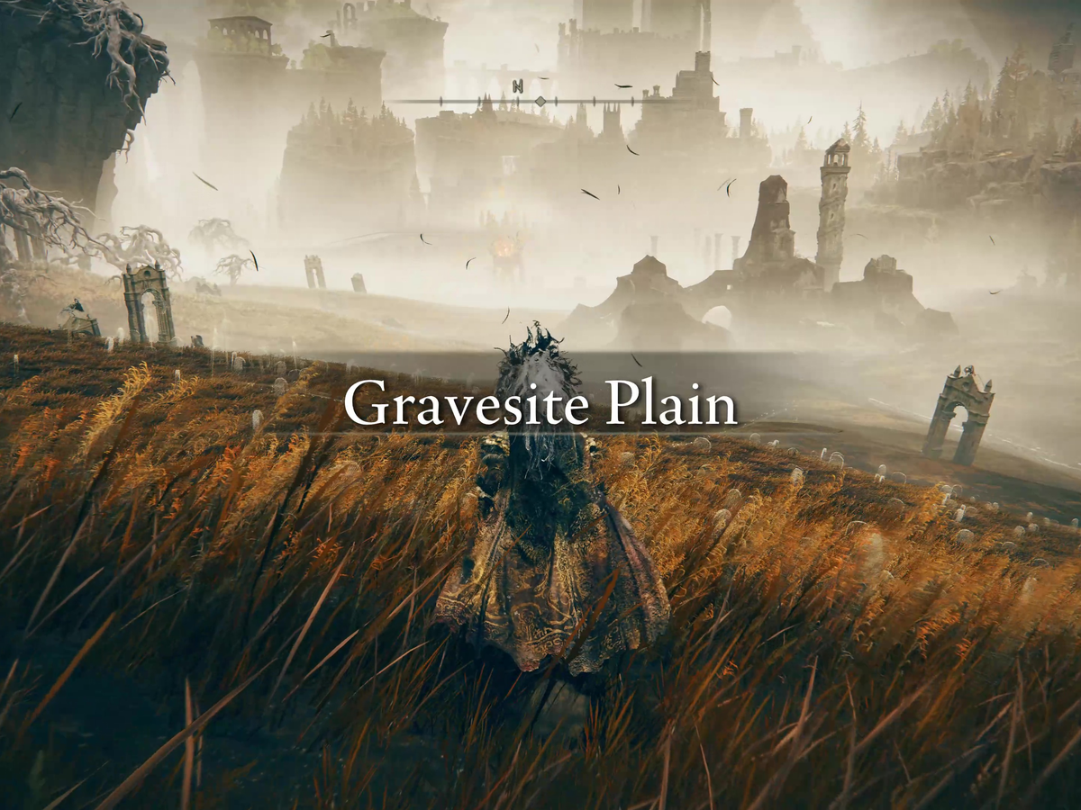 Elden Ring Shadow of the Erdtree Gravesite Plain: All Dungeons
