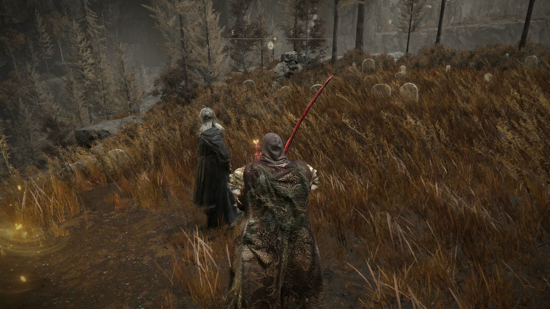 The Tarnished speaking to Sir Ansbach next to a Cross of Miquella in Elden Ring Shadow of the Erdtree. - 1