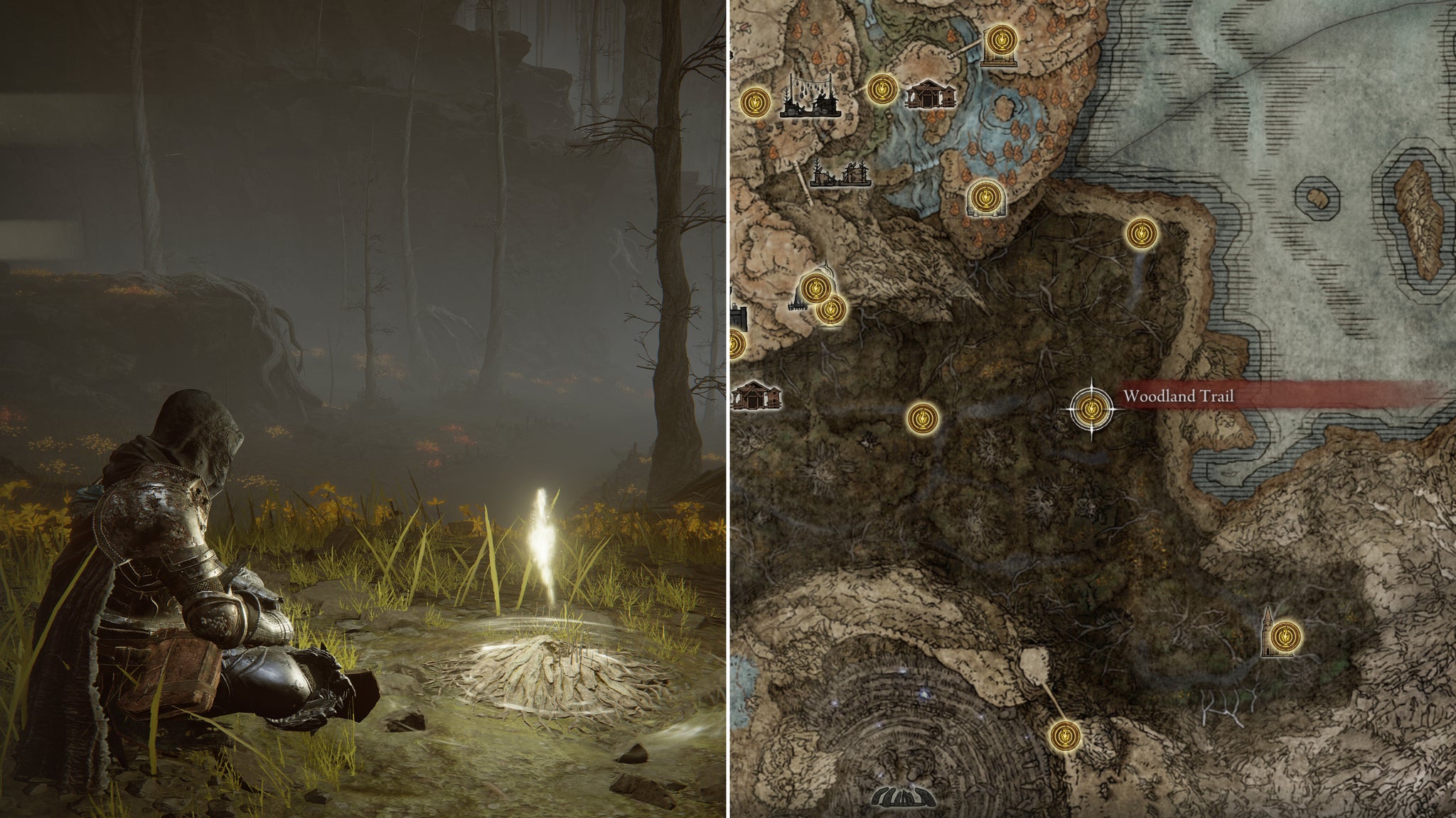 Two screenshots from Elden Ring: Shadow Of The Erdtree. Left: the player sits next to the Woodland Trail Site Of Grace. Right: the location of that Site Of Grace on the map. - 75