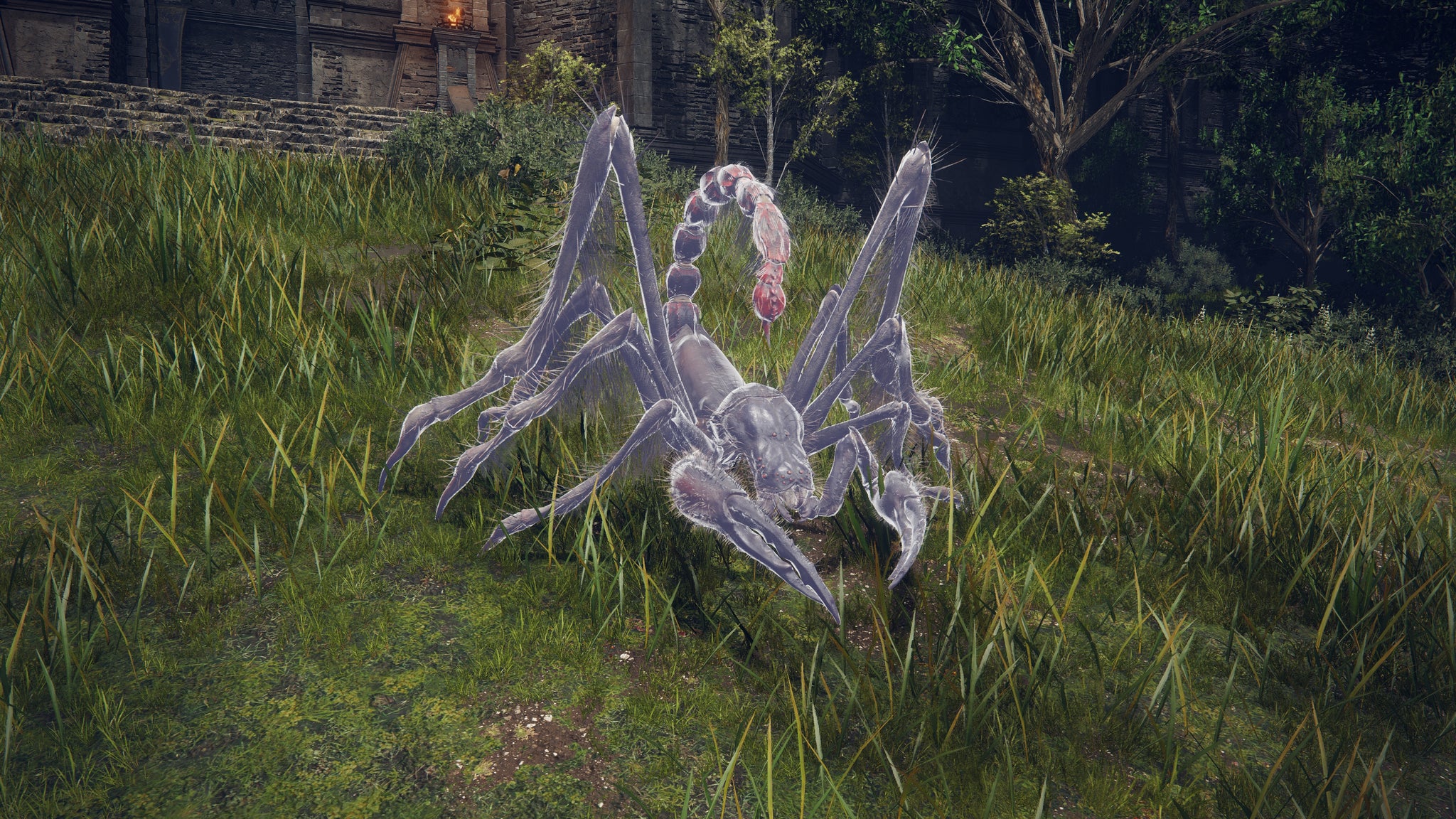 A close-up of the Spider Scorpion Spirit Ash in Elden Ring: Shadow Of The Erdtree. - 16