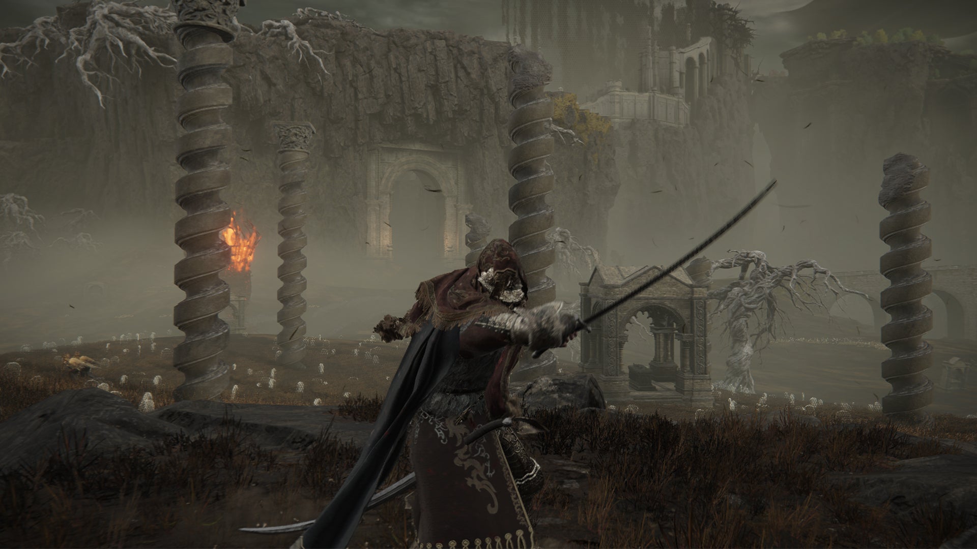 Screenshot of the Tarnished wielding the Backhand Blade whilst overlooking the Gravesite Plains in Shadow Of The Erdtree. - 6